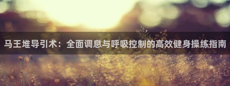 意昂2招商