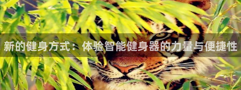 意昂2官方平台
