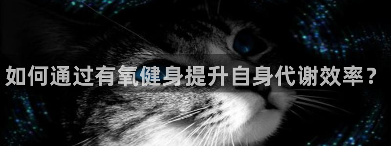 意昂2代理